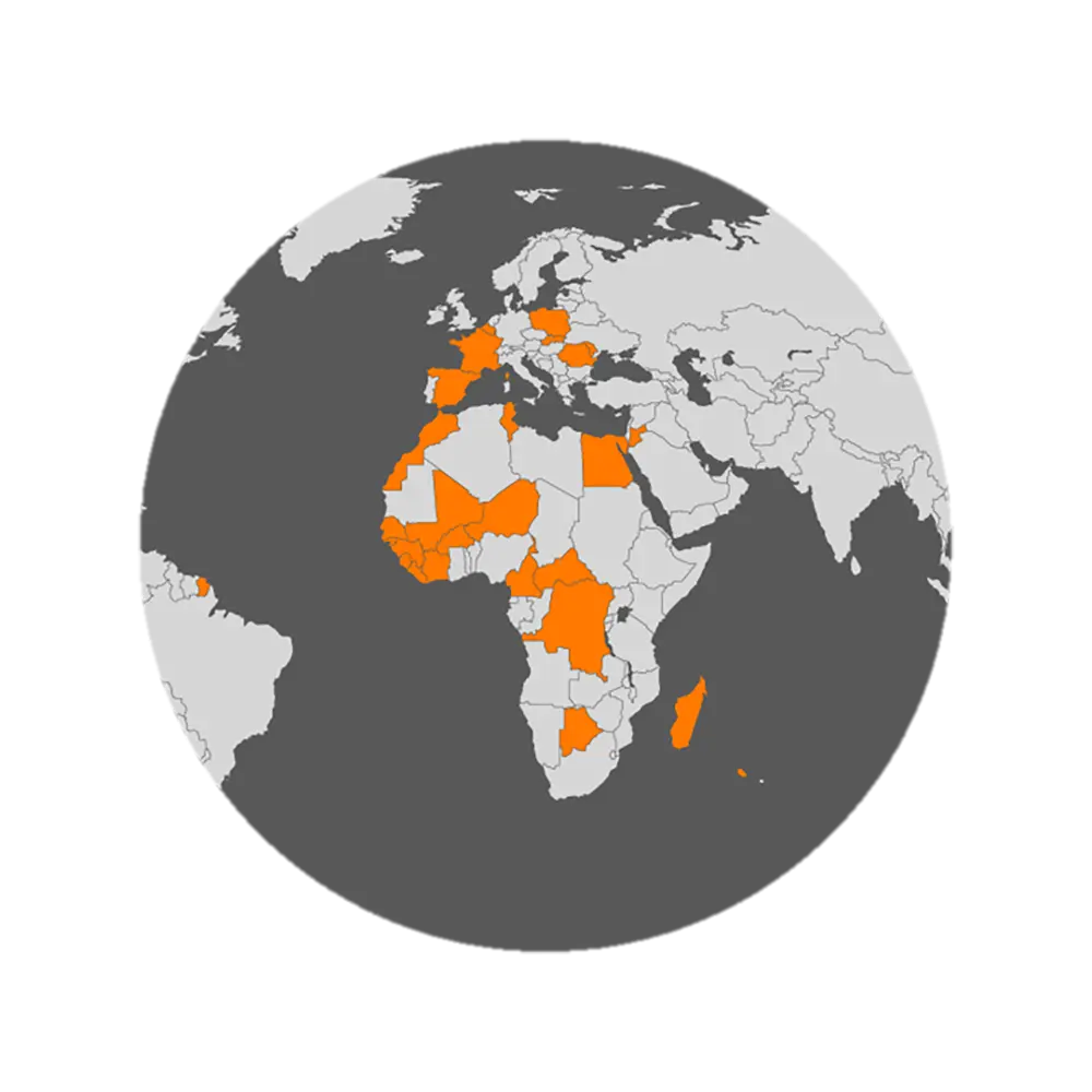 Orange_Globe_Black_RGB-1 copie