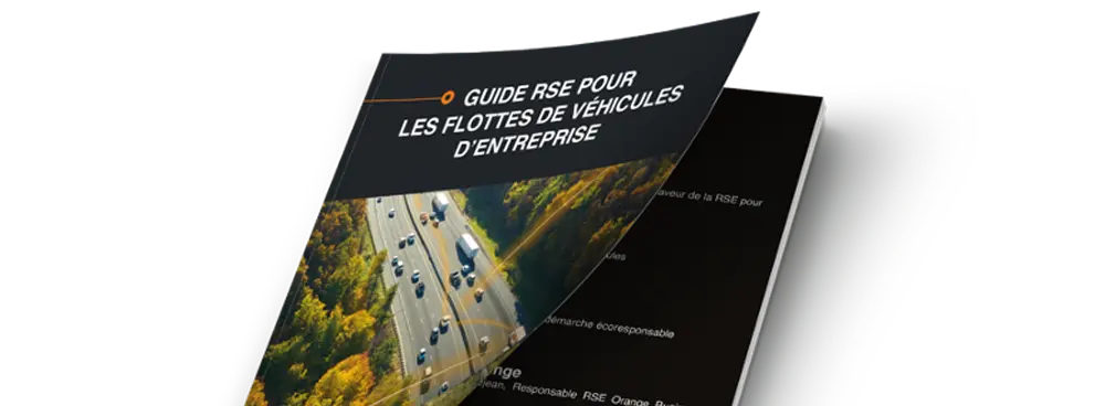 Livre blanc Guide RSE