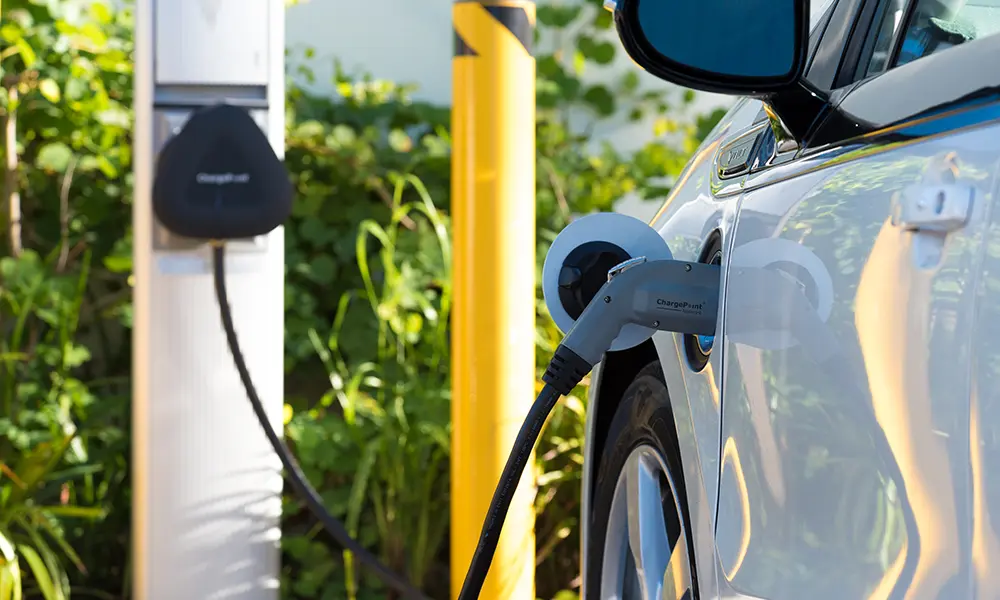 Véhicules électriques Recharge d’un véhicule électrique sur une borne, illustrant la transition vers une flotte d’entreprise plus verte et durable.