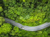 Aerial view green forest and asphalt road, Top view forest road going through forest with car adventure, Ecosystem ecology healthy environment road trip travel. Aerial view green forest and asphalt road, Top view forest road going through forest with car adventure, Ecosystem ecology healthy environment road trip travel.